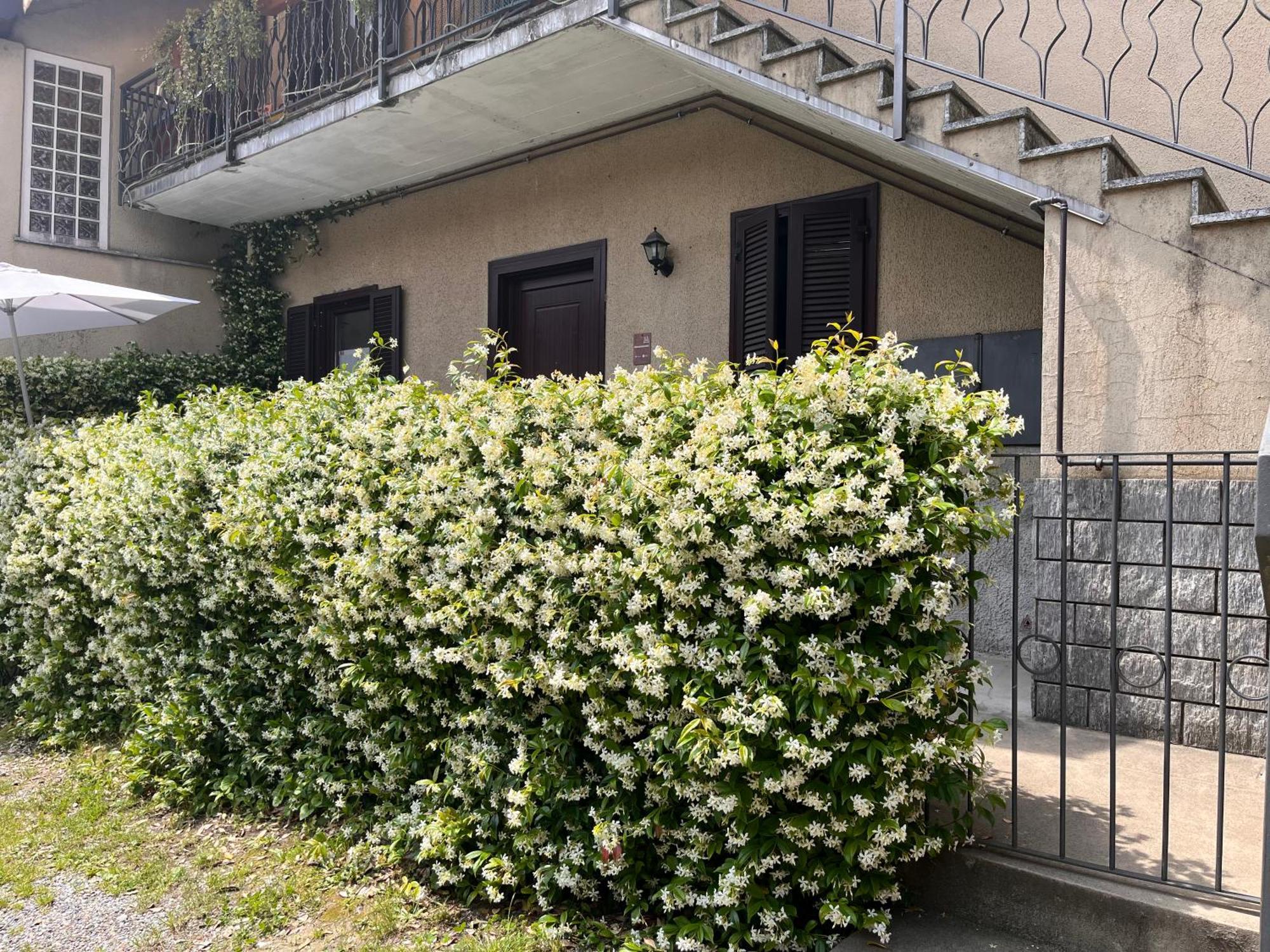 Il Cortile Como Single & Double Room In Apartment No Hotel Bagian luar foto
