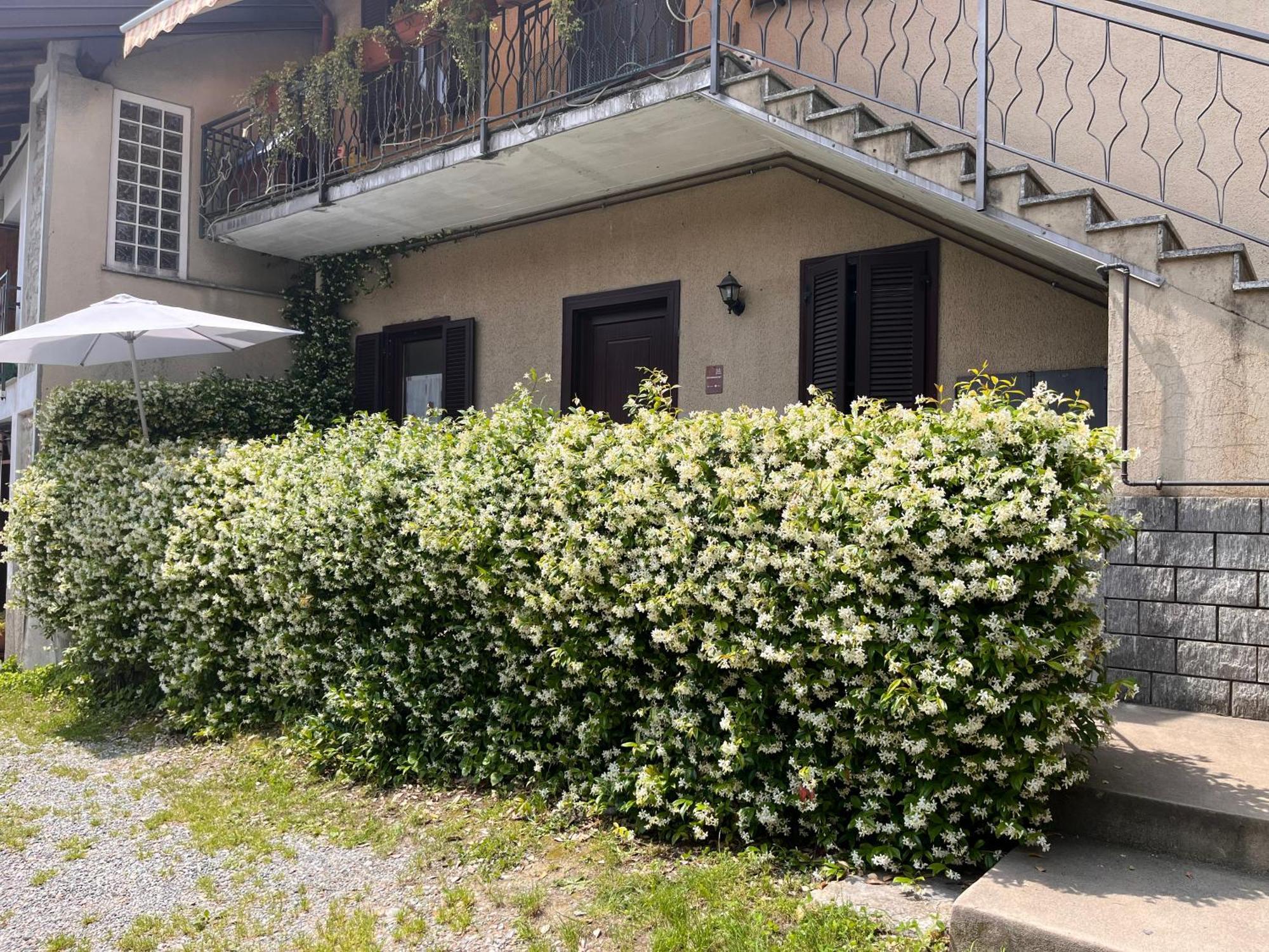 Il Cortile Como Single & Double Room In Apartment No Hotel Bagian luar foto